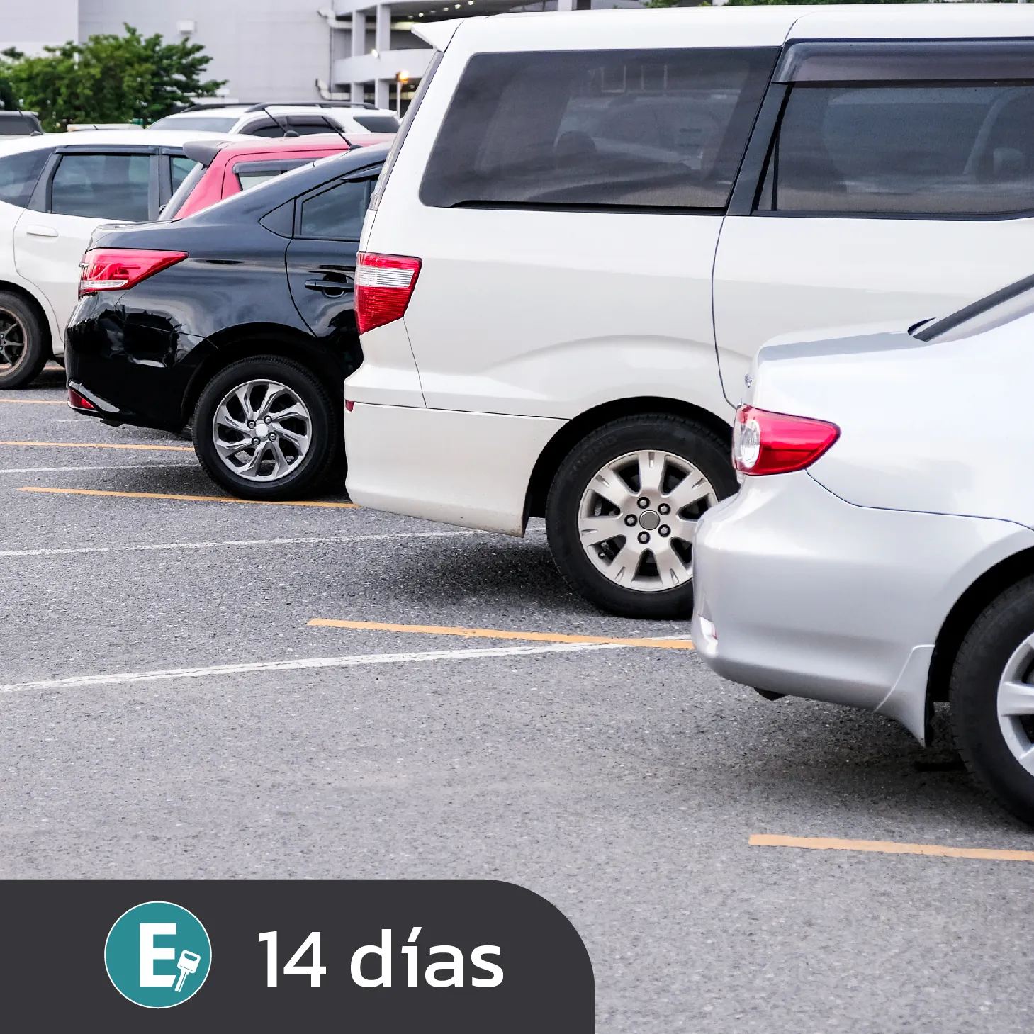 Estacionamiento 14 días